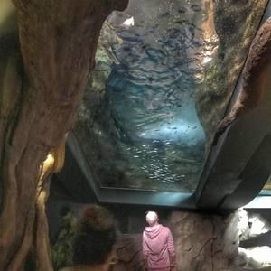 Meet your Posher, John allen